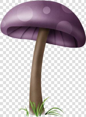Mushrooms Illustrations Png   Png Download   Png Dessin Champignons Couleur  Transparent Png