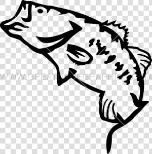 Transparent Largemouth Bass Clipart  HD Png Download