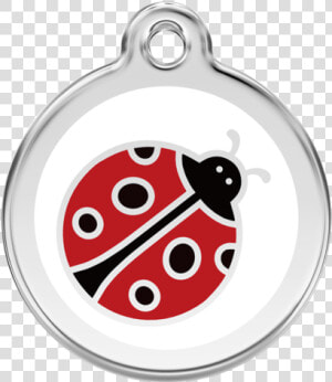 Medallas De Lady Bug  HD Png Download