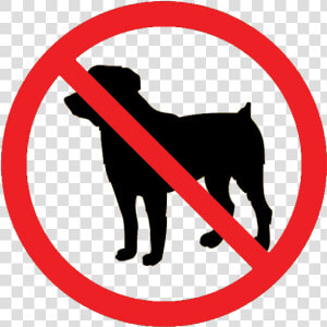 No dogs   No Dogs Png  Transparent Png