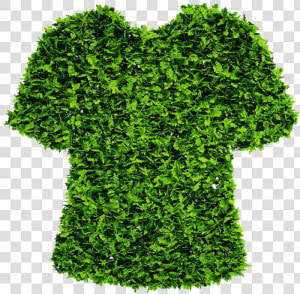 Fashion Industry Sustainability  HD Png Download