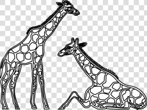 Panda Free Images   Giraffes Clipart Black And White  HD Png Download