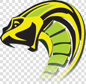 Transparent Venom Png   Venom Snake Logo Png  Png Download