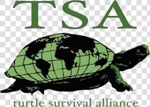 Turtle Survival Alliance   Turtle Survival Alliance Logo  HD Png Download