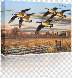 Transparent Geese Flying Png   Painting  Png Download