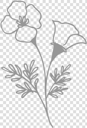 Transparent Wild Flowers Png   Rosa Glauca  Png Download