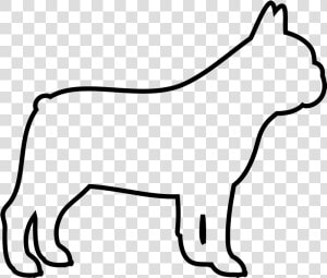 Dog Outlines French Bulldog  HD Png Download