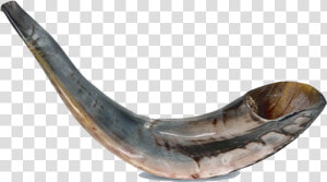 Shofar Png  Transparent Png