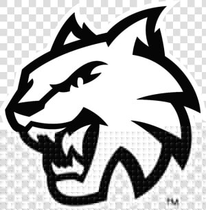 Wildcat Logo Png  Transparent Png