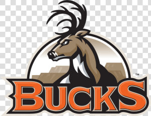 Bismarck Bucks Logo  HD Png Download