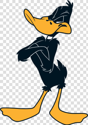 Daffy Duck Looney Tunes Characters  HD Png Download