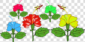 Hibiscus Red Flower Png   Chinese Hibiscus  Transparent Png