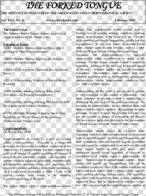 Recount Text Bahasa Inggris  HD Png Download