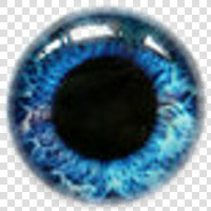 Contact Lenses Coolcontacts Blue Eyes   Blue Eye Contacts Png  Transparent Png