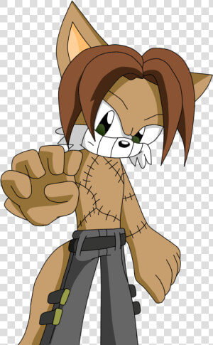 Sonic Fanon Wiki   Cartoon  HD Png Download