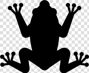 Transparent Frogs Png   Mass Extinction Icon  Png Download