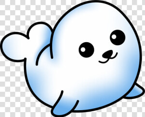 Imagenes De Focas Kawaii  HD Png Download