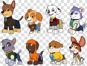 Paw Patrol Clipart Tracker   Everest Paw Patrol Vector  HD Png Download