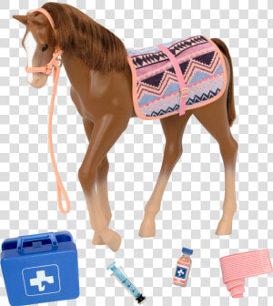 Foal  HD Png Download