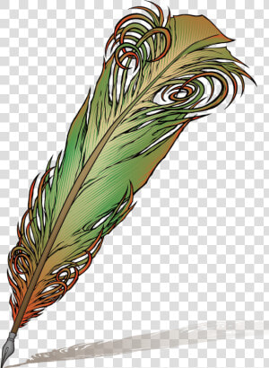 Peacock Leaf Png   Feather Pen Quill Clipart  Transparent Png
