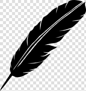 Feather   Feather Png  Transparent Png