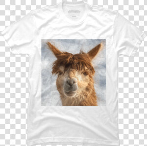 Transparent Llama Head Png   Llama  Png Download