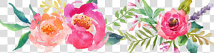 Flor Watercolor Png   Png Download   Transparent Background Flower Watercolor Png  Png Download