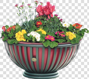 Metal Planter With Tub To Furnish Public Spaces  Tulip   Flower Tree With Tub  HD Png Download
