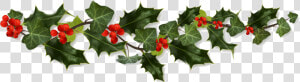 Holly Border Png   Transparent Christmas Holly Png  Png Download