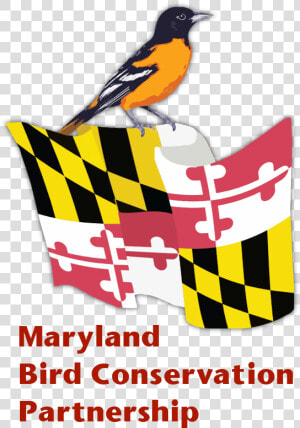 Mbcp Logo Words   Maryland State Flag  HD Png Download