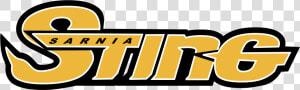 Sarnia Sting Logo Vector  HD Png Download