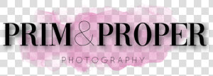 Draft Watermark Png  Transparent Png