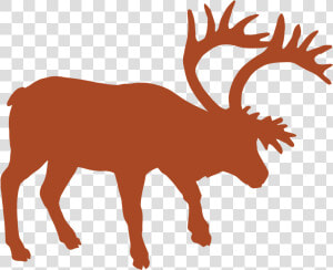 Animal Track Vector Graphics Muskox Reindeer   Silhouette Musk Ox  HD Png Download