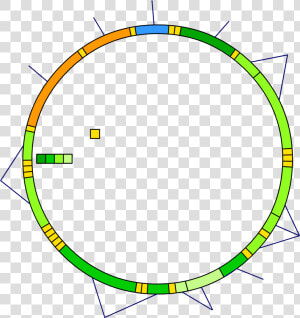 Mitochondrial Dna Blank  HD Png Download