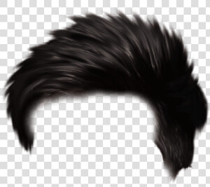 Free Png Download Hair Png Images Background Png Images   Editing Background Image Download  Transparent Png