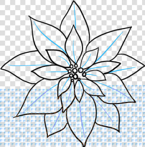 How To Draw Poinsettia   Drawing Of A Poinsettia  HD Png Download