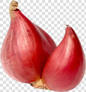 Transparent Onions Clipart  HD Png Download
