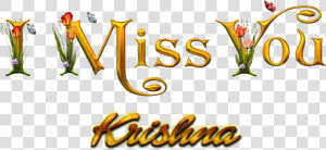 Krishna Free Png   Shobha Name  Transparent Png