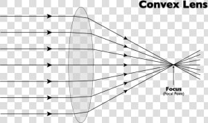 Transparent Point Of Light Png   Simple Convex Lens Diagram  Png Download