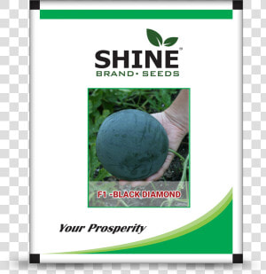Shlne 820  HD Png Download