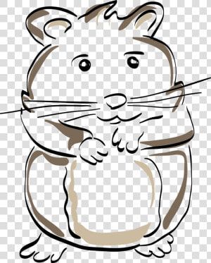 Hamster Png  Transparent Png