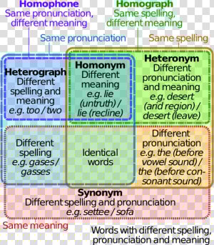 Homophones Homonyms Homographs  HD Png Download