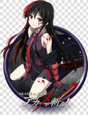 Akame Akame Ga Kill Png  Transparent Png