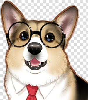 Companion Dog  HD Png Download