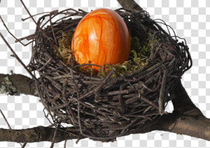 Bird S Nest  Nest  Easter Nest  Easter Decoration   Vogelnest Transparent  HD Png Download