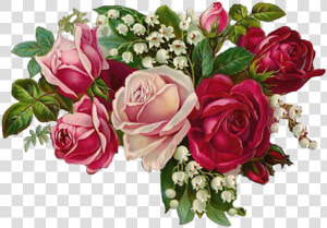 Rose  Vintage  Bouquet  Nature  Flower  Green  Pink   Special Lady Happy 80th Birthday  HD Png Download