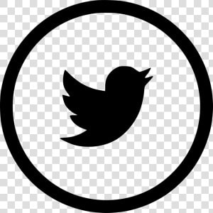 Twitter   Font Awesome Icon Whatsapp  HD Png Download