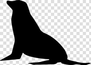 Seal Outline Png   Free Seal Lion Svg File  Transparent Png
