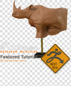Black Rhinoceros  HD Png Download