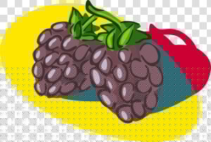 Vector Illustration Of Bramble Fruit Blackberry Edible   Illustration  HD Png Download